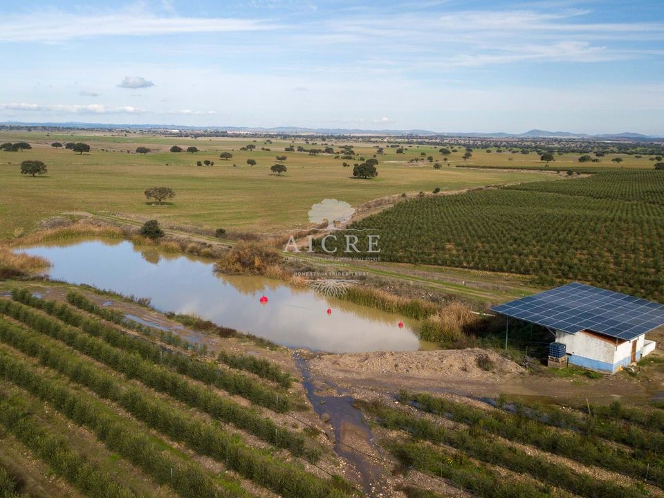 Farm i Evora, Evora - foto 4