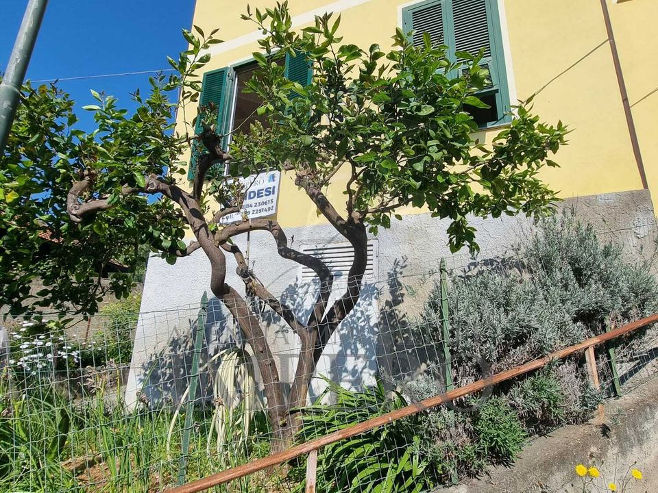 Rekkehus i Vallecrosia, Imperia - bilde 4