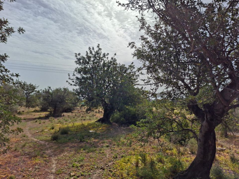 Terra a Altea, Alicante - foto 5
