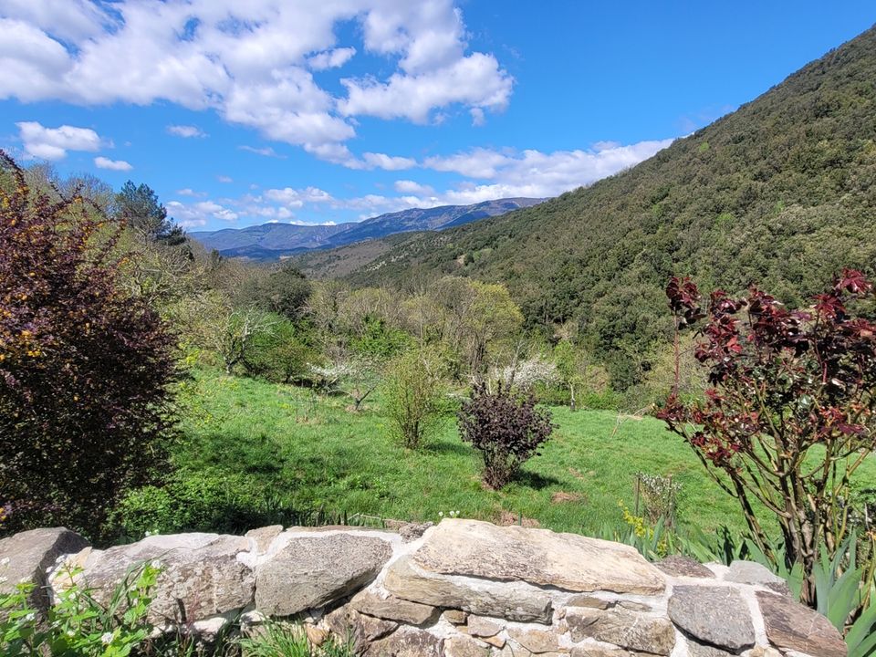 Villa i Olargues, Herault - foto 5