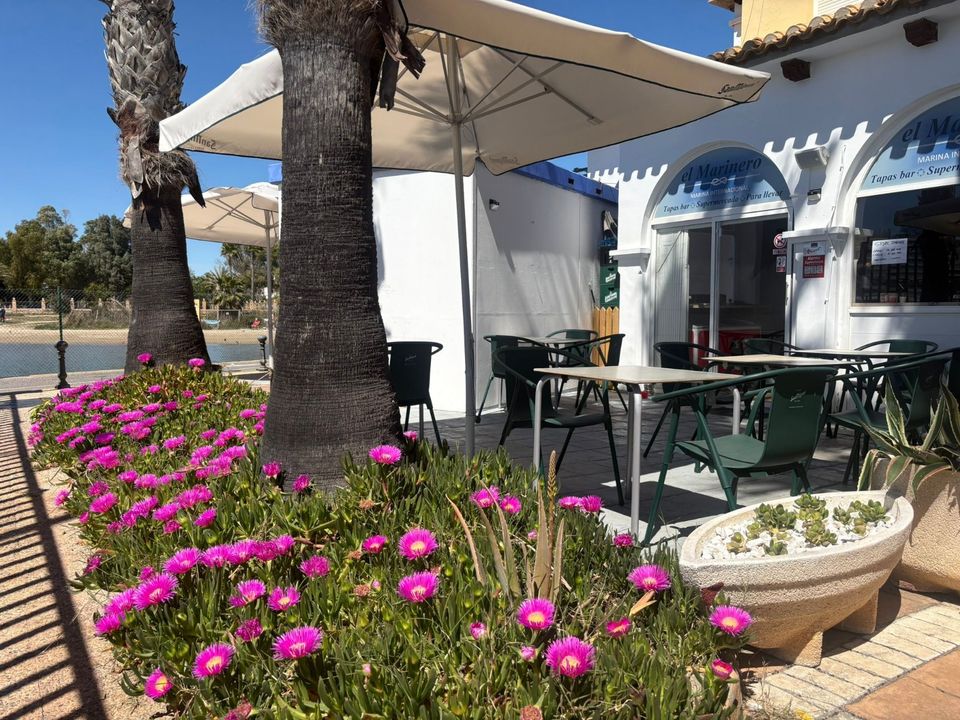 Erhvervsejendom i Torrevieja, Alicante - foto 5