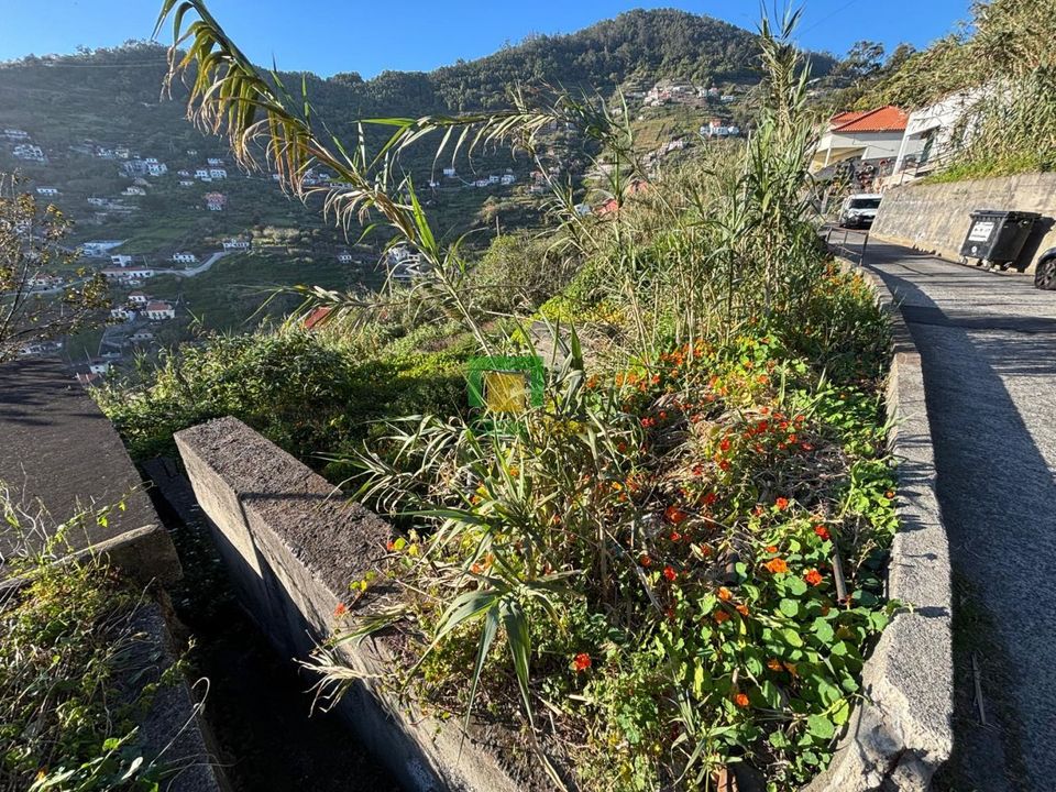 Helårsgrund i Ribeira Brava, Madeira - foto 4