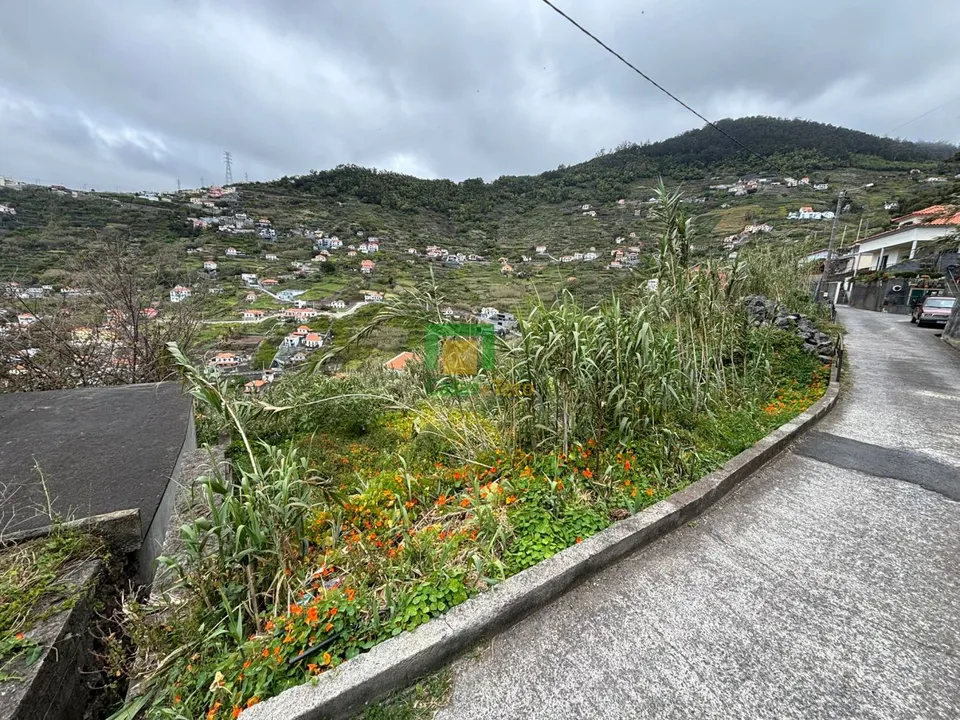 Helårsgrund i Ribeira Brava, Madeira - foto 3