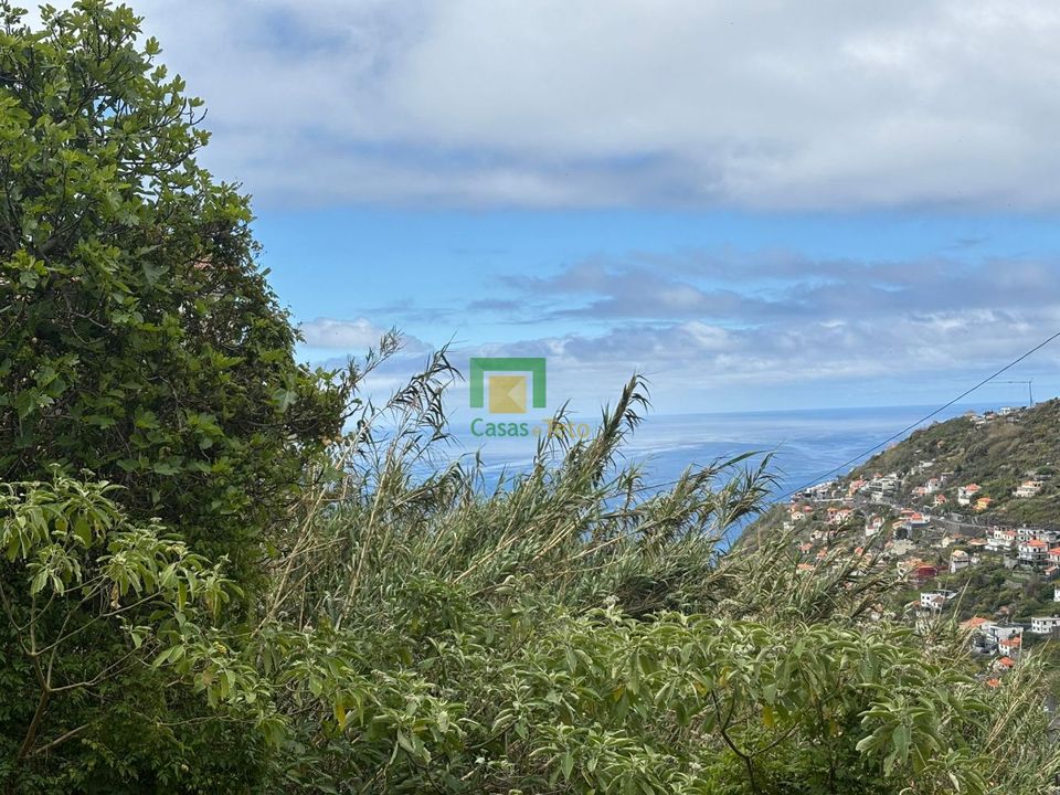 Helårsgrund i Ribeira Brava, Madeira - foto 5