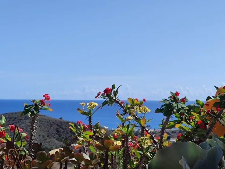 Lejlighed i Mojacar, Almeria - foto 5