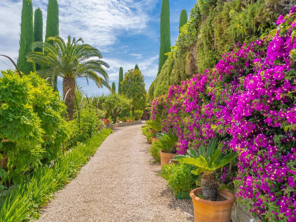 Villa i Mougins, Alpes-Maritimes - foto 2