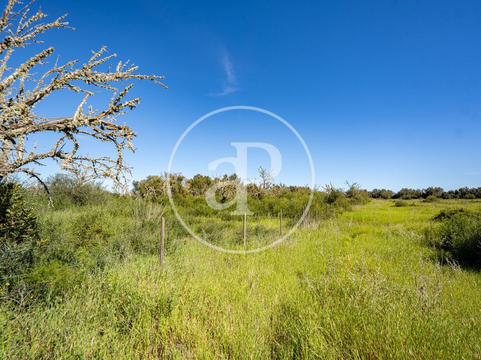 Helårsgrund i Binissalem, Mallorca - foto 1