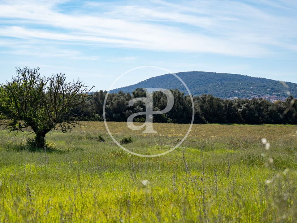 Helårsgrund i Binissalem, Mallorca - foto 3