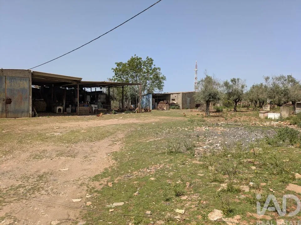 Helårsgrund i Estremoz, Evora - foto 3