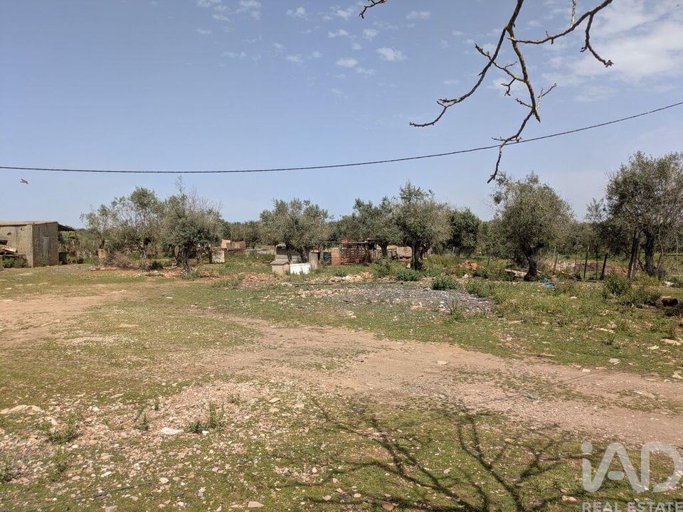 Helårsgrund i Estremoz, Evora - foto 5