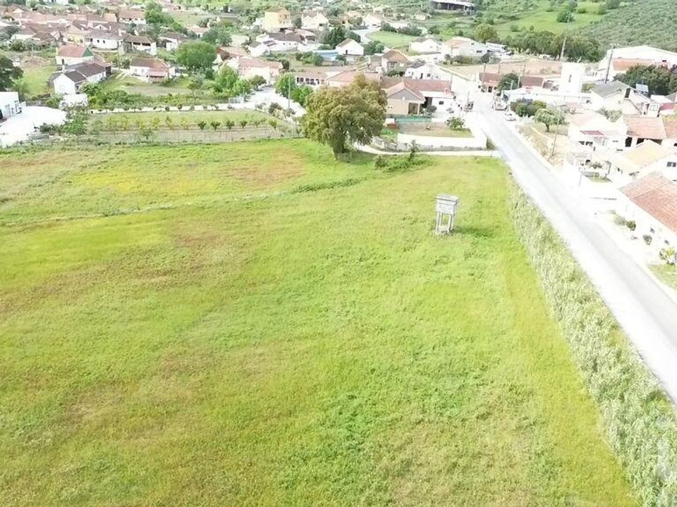Terra a Santarem, Santarem - foto 5
