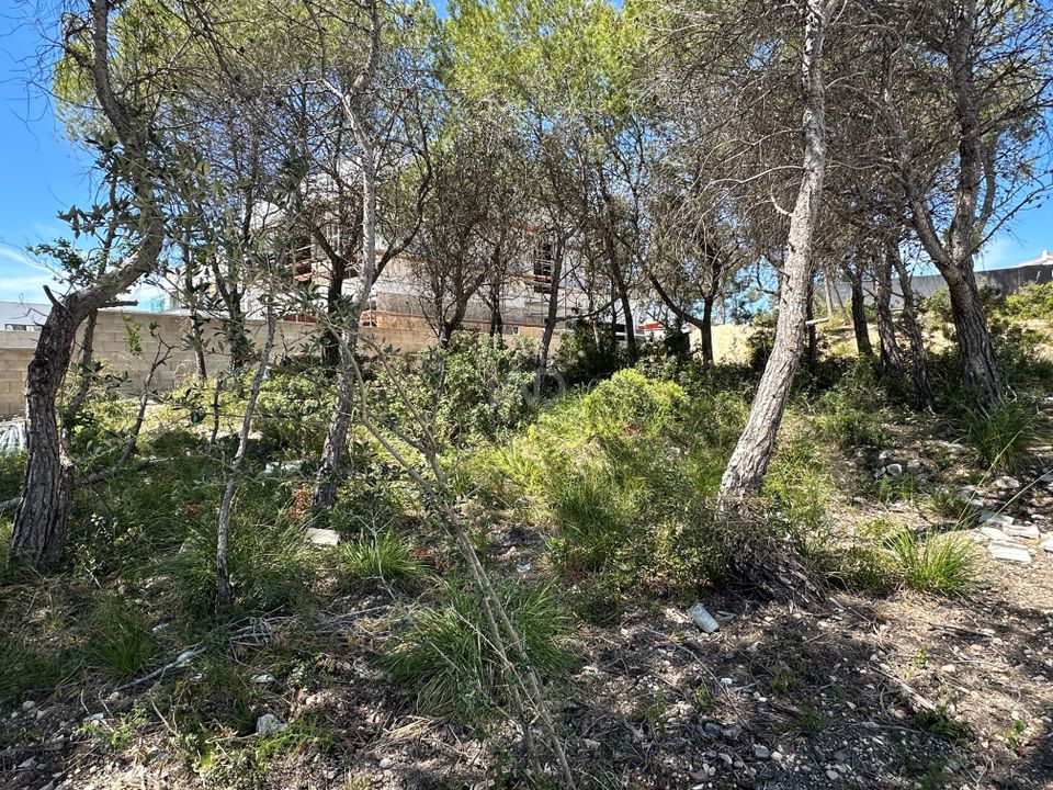 Helårsgrund i Barcelona, Barcelona - foto 5