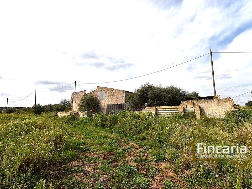Landejendom i Manacor, Mallorca - foto 4