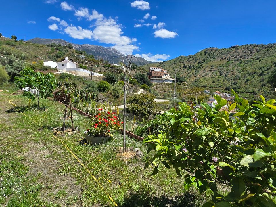 Villa i Vinuela, Malaga - foto 4