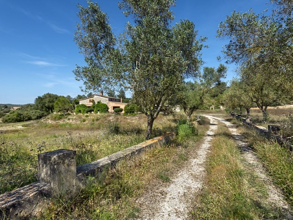 Landejendom i Sant Joan, Mallorca - foto 4