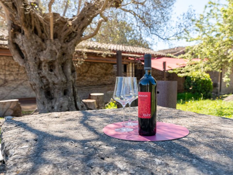 Landhuis in Pollenca, Mallorca - foto 4