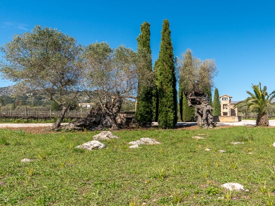 Landhuis in Pollenca, Mallorca - foto 5