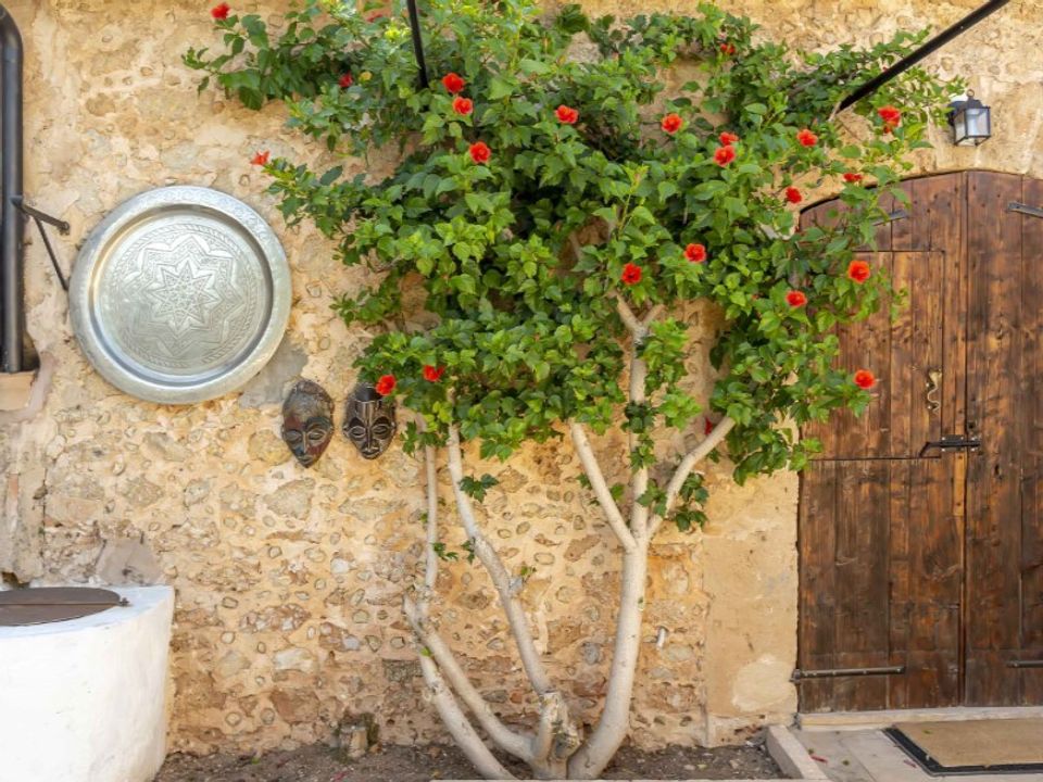 Landejendom i Alaro, Mallorca - foto 4