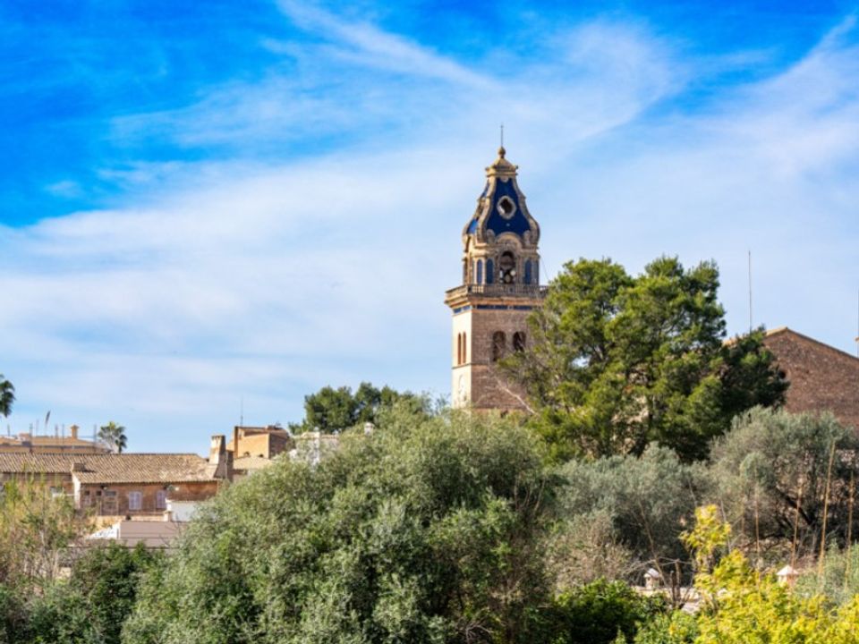 Landejendom i Santa Maria Del Cami, Mallorca - foto 2