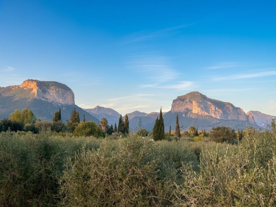 Landejendom i Alaro, Mallorca - foto 2