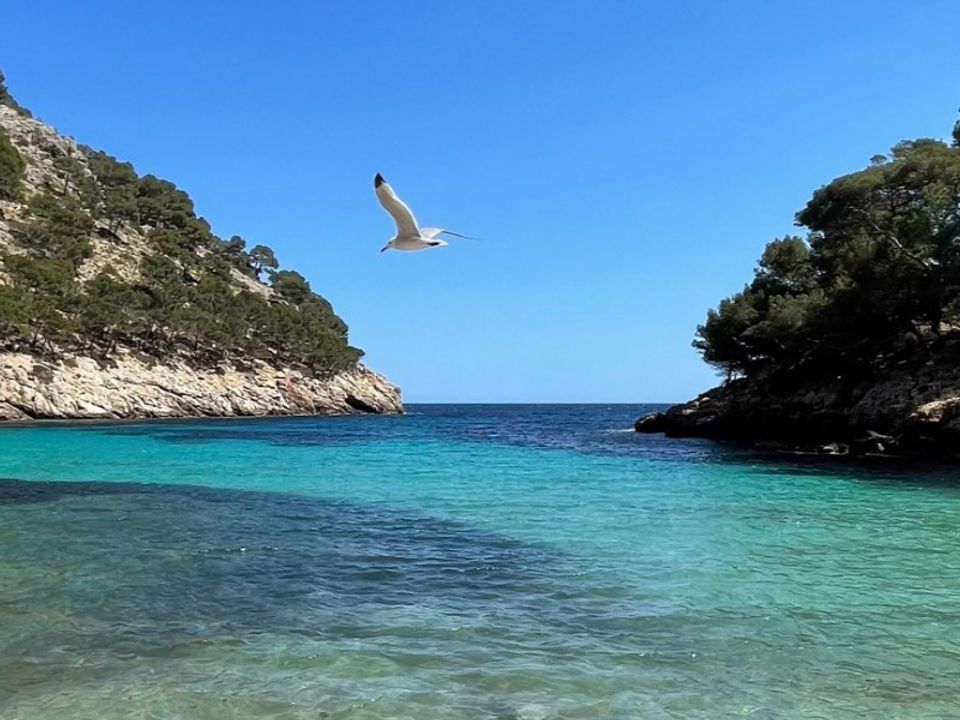 Villa a Sa Torre, Mallorca - foto 2
