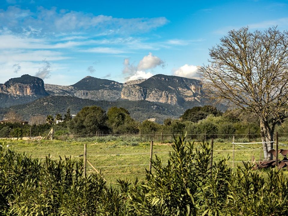 Landejendom i Sencelles, Mallorca - foto 4