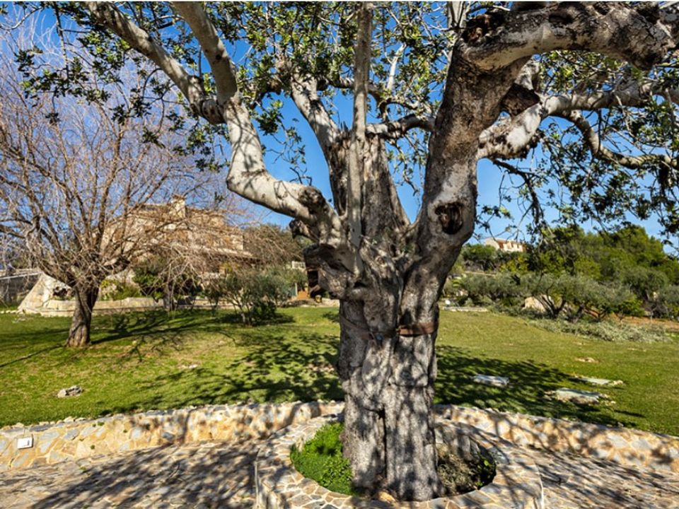 Landejendom i Inca, Mallorca - foto 5