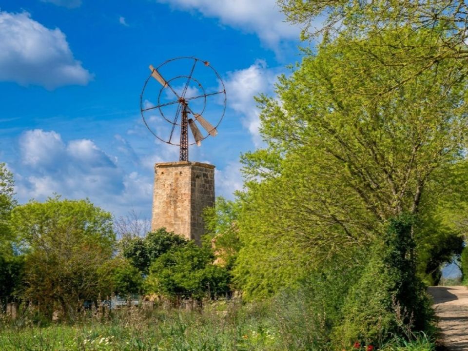 Landejendom i Binissalem, Mallorca - foto 4