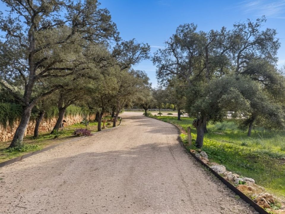 Helårsgrund i Costitx, Mallorca - foto 1