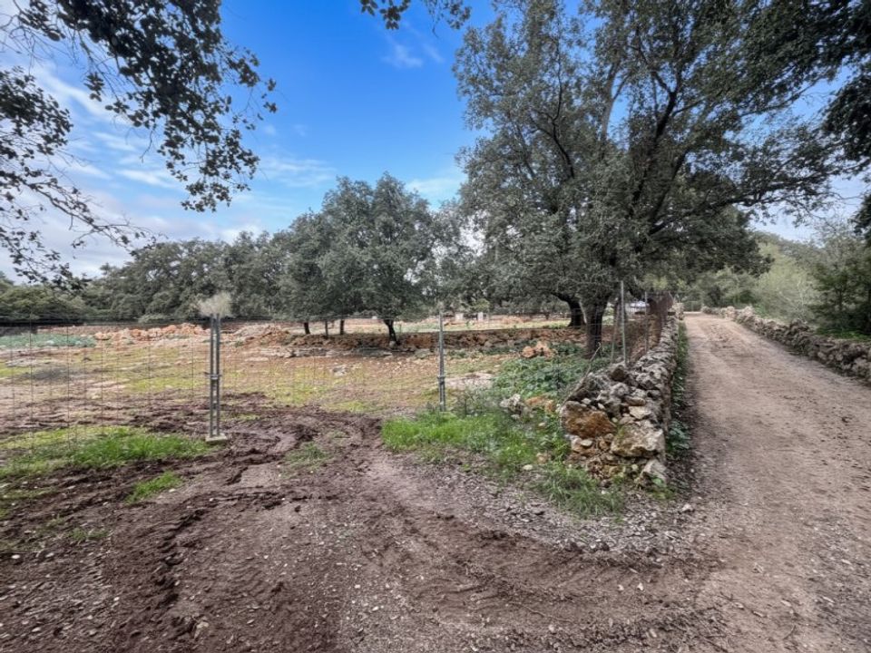 Helårsgrund i Costitx, Mallorca - foto 3