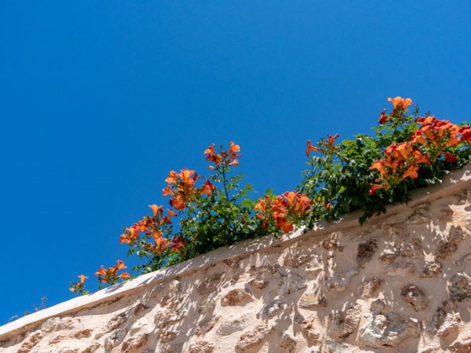 Villa i Bunyola, Mallorca - foto 2