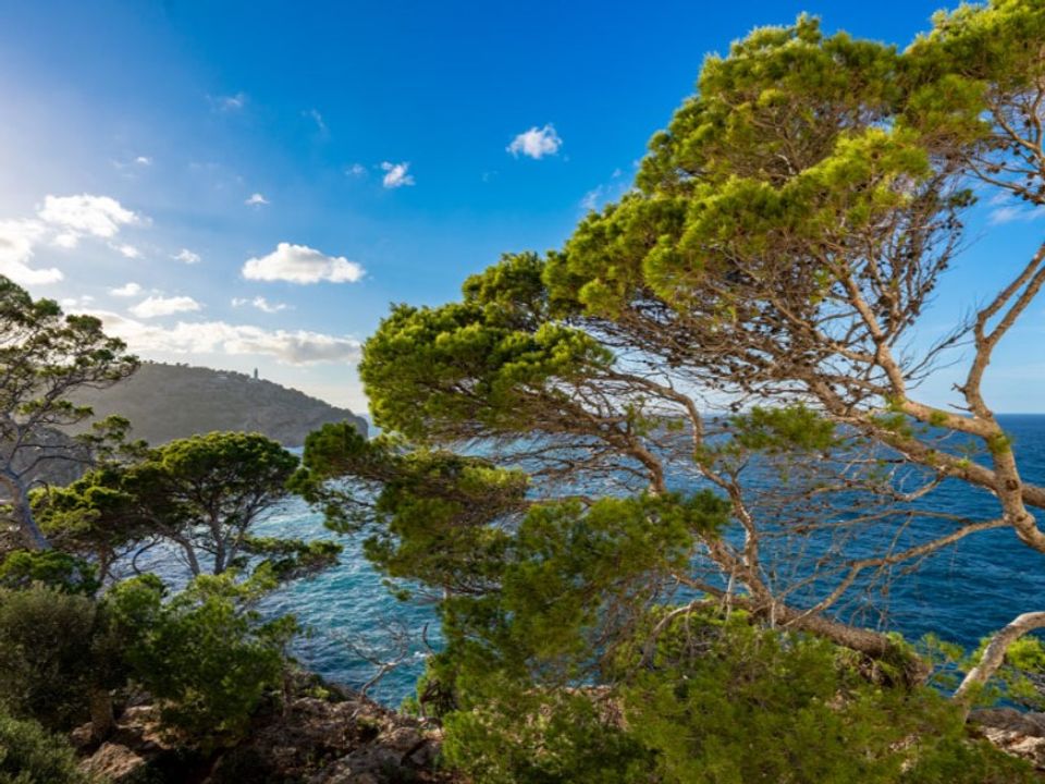 Lejlighed i Soller, Mallorca - foto 2