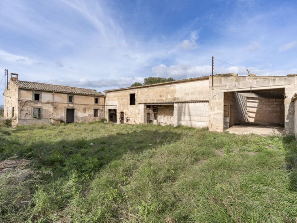 Landejendom i Campos, Mallorca - foto 2