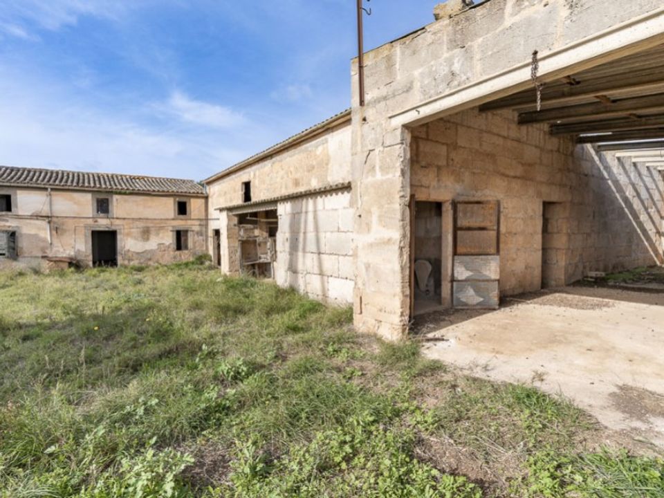 Landejendom i Campos, Mallorca - foto 4