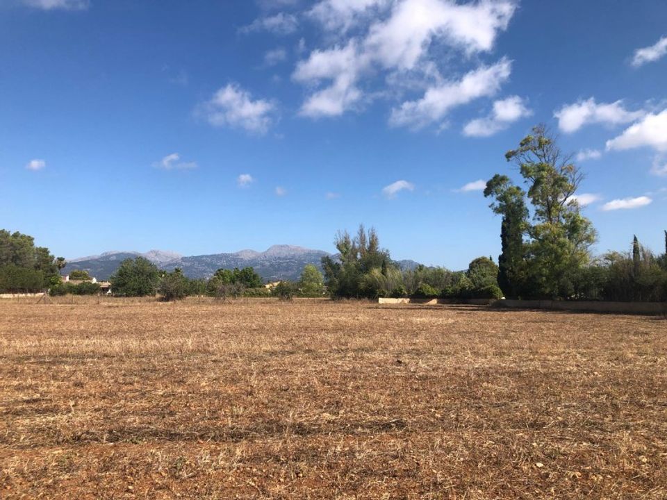 Helårsgrund i Inca, Mallorca - foto 2