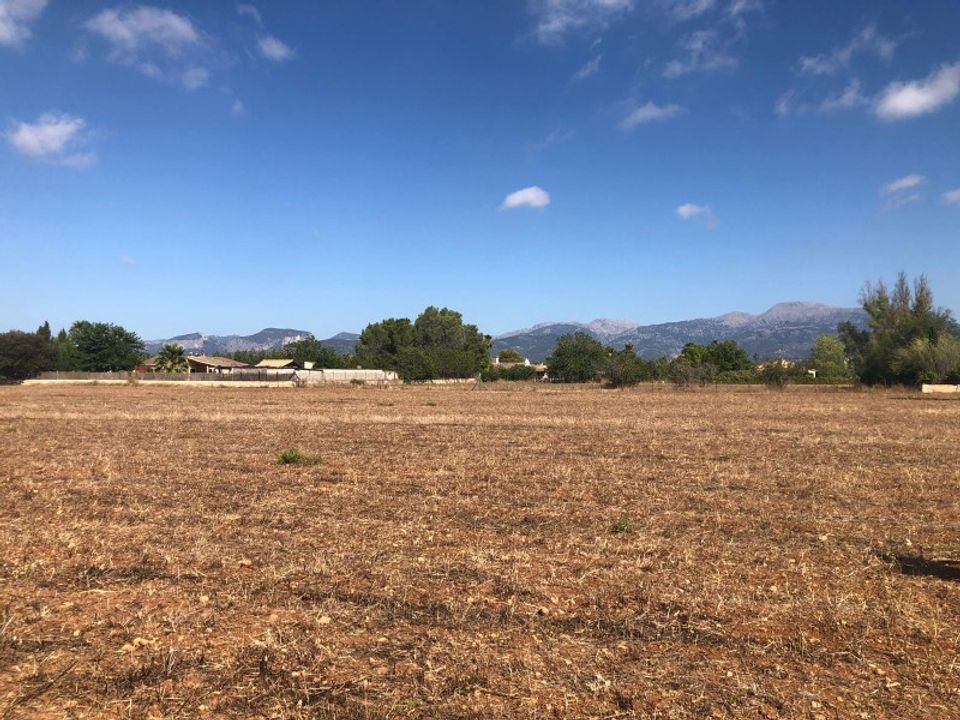 Helårsgrund i Inca, Mallorca - foto 4