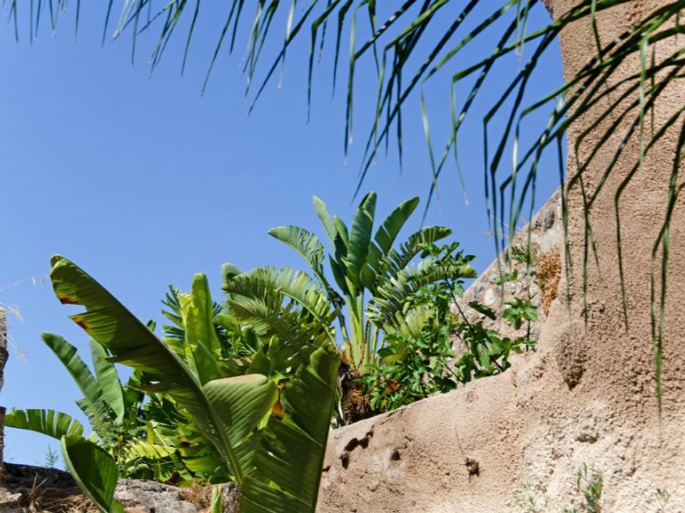 Villa in Binissalem, Mallorca - foto 2