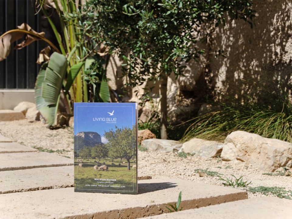 Villa in Binissalem, Mallorca - foto 5