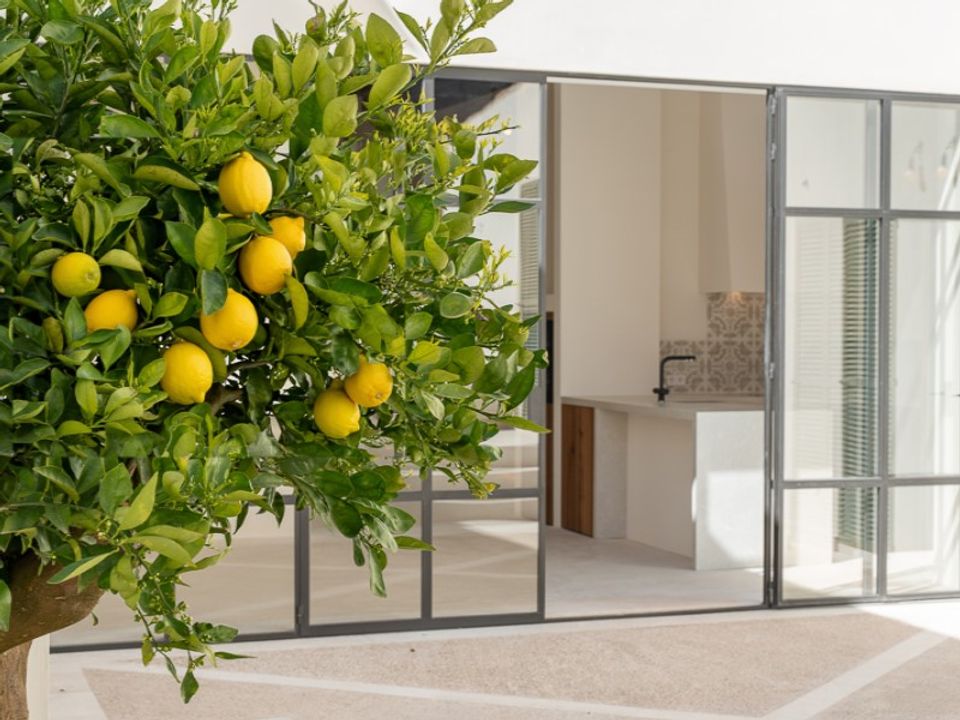 Villa i Sencelles, Mallorca - foto 2
