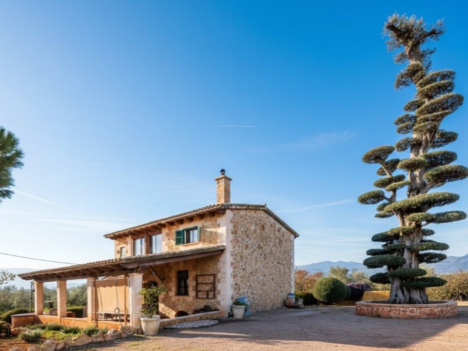 Landejendom i Sencelles, Mallorca - foto 1