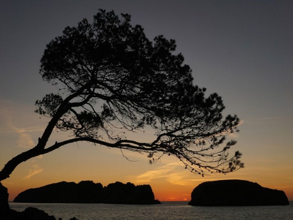 Landejendom i Calvia, Mallorca - foto 1