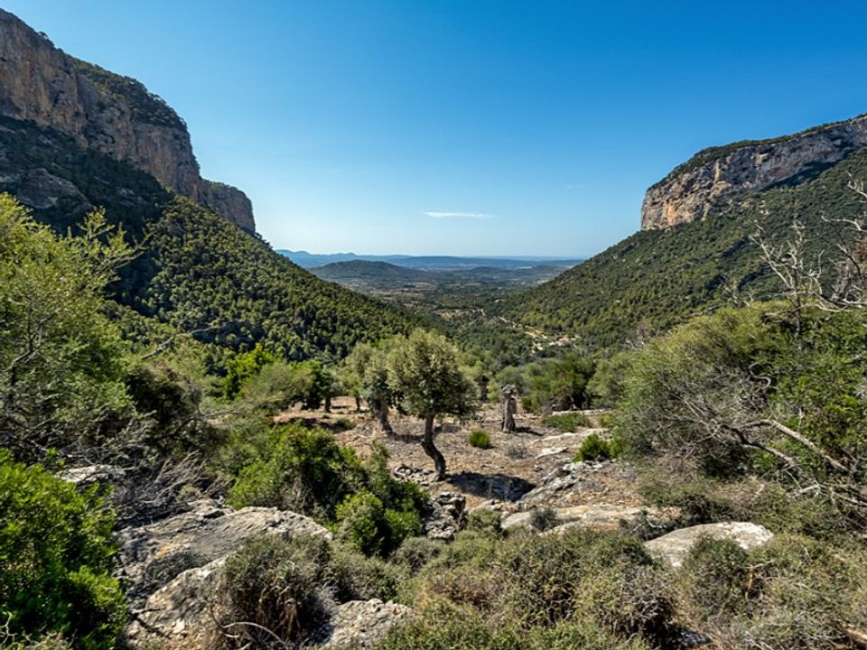 Landejendom i Alaro, Mallorca - foto 2