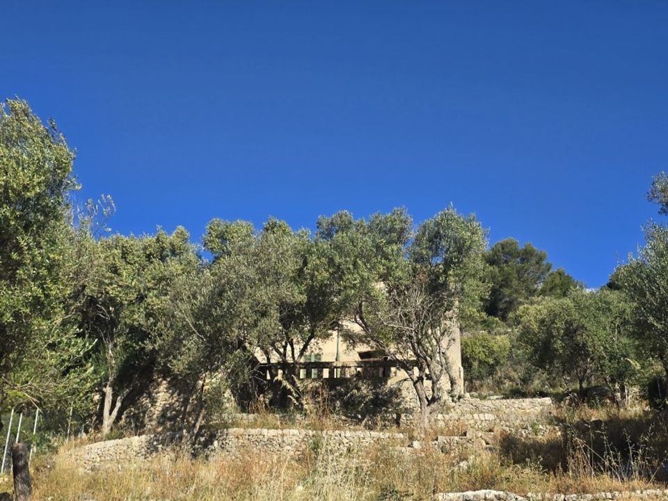 Helårsgrund i Alaro, Mallorca - foto 2