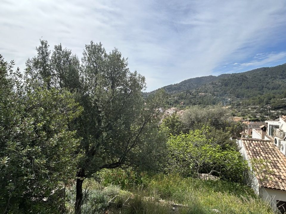 Helårsgrund i Alaro, Mallorca - foto 2