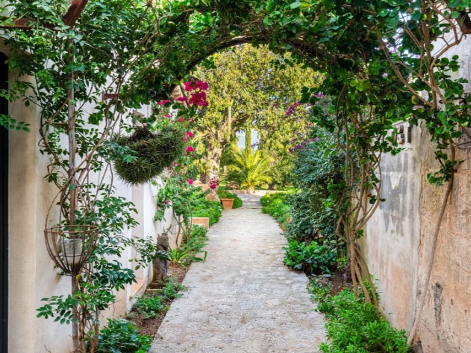 Landejendom i Santa Maria Del Cami, Mallorca - foto 3