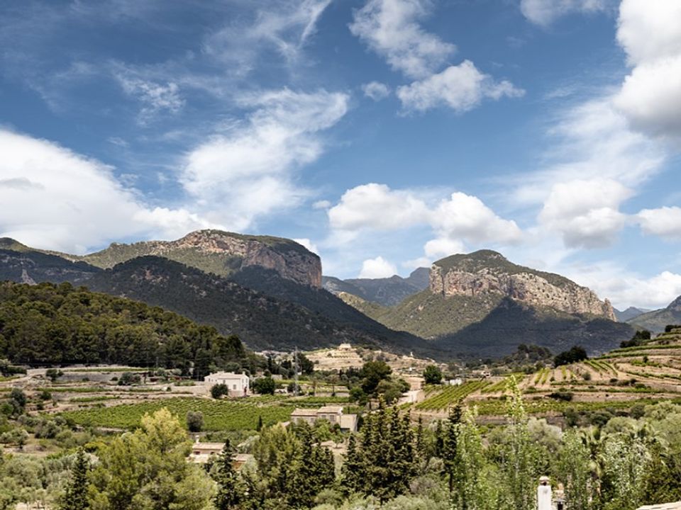 Landejendom i Alaro, Mallorca - foto 3