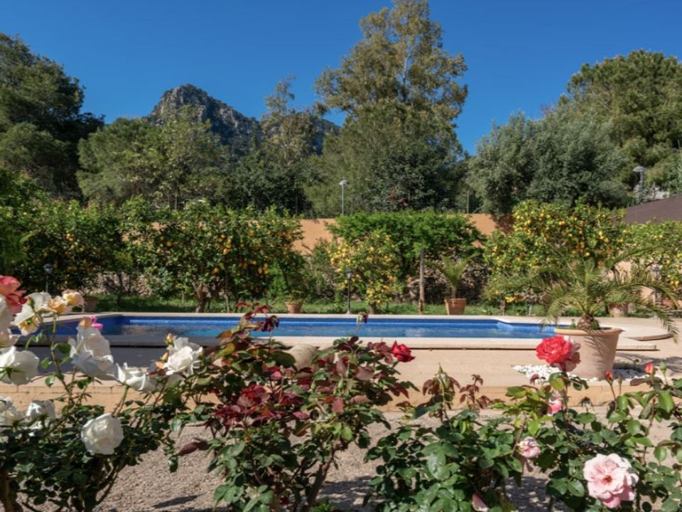 Landejendom i Soller, Mallorca - foto 2