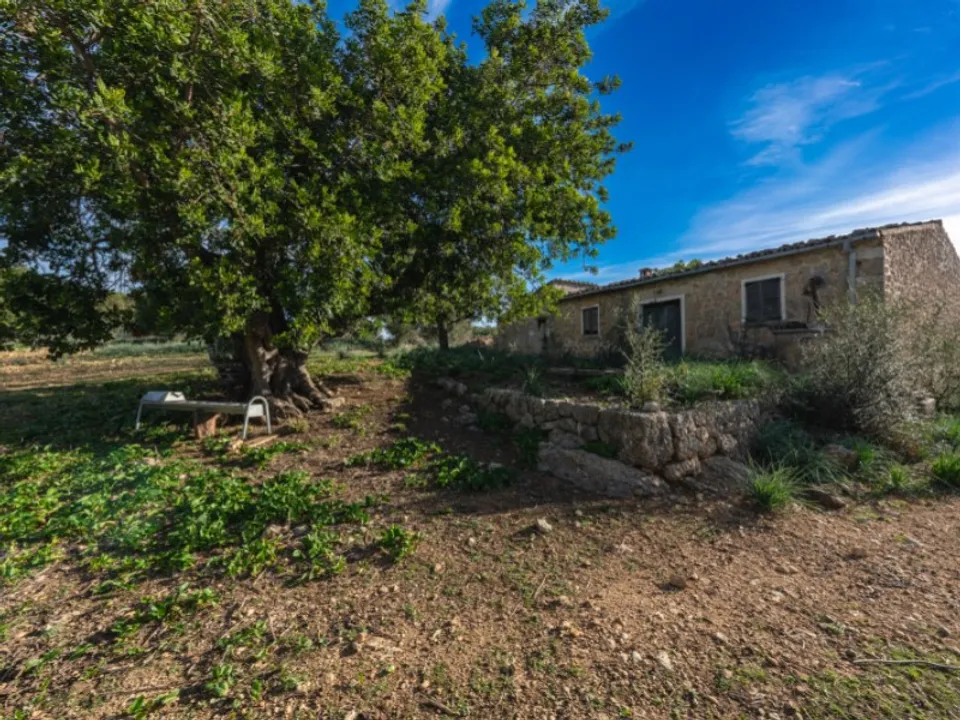 Landejendom i Alaro, Mallorca - foto 1