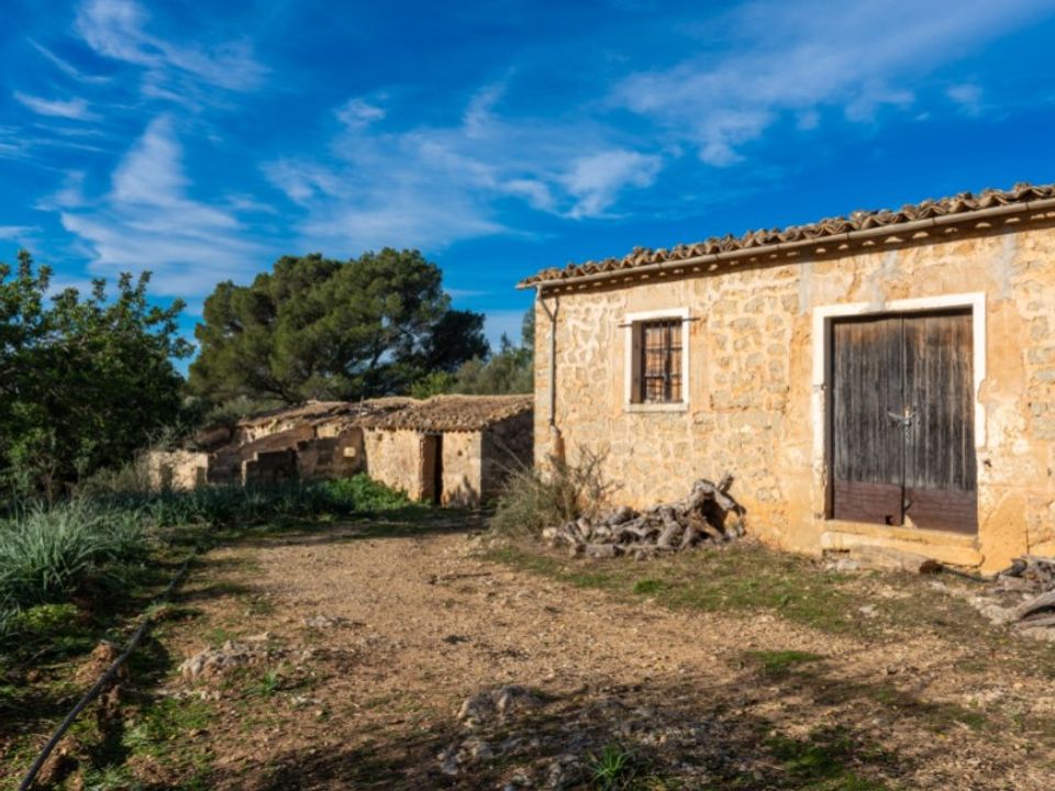 Landejendom i Alaro, Mallorca - foto 2