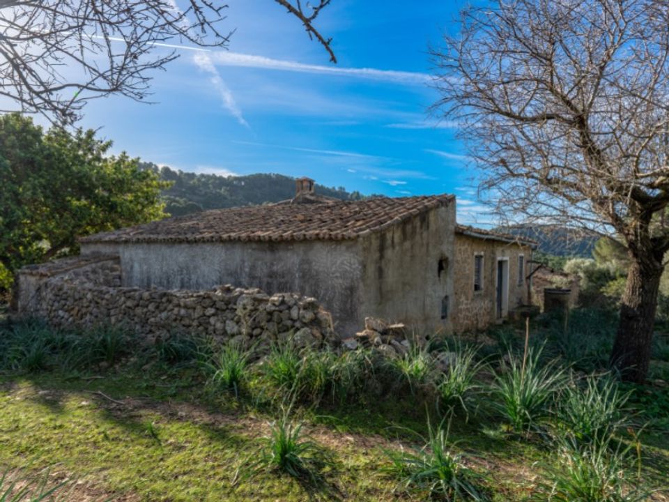 Landejendom i Alaro, Mallorca - foto 4